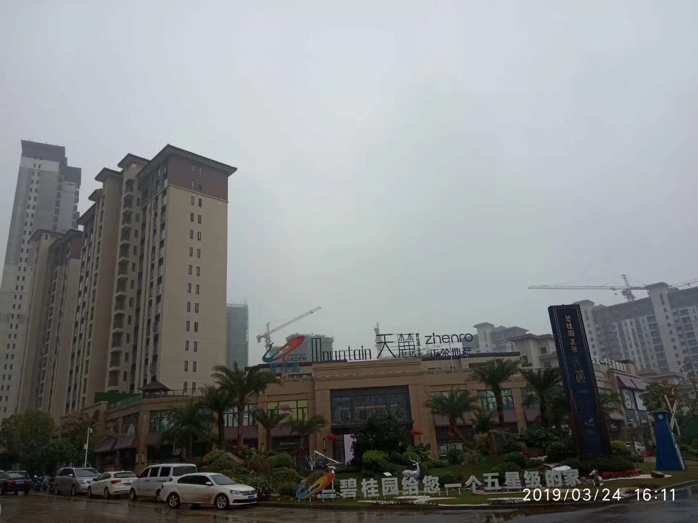 碧桂園